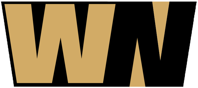 logotyp wnwyceny